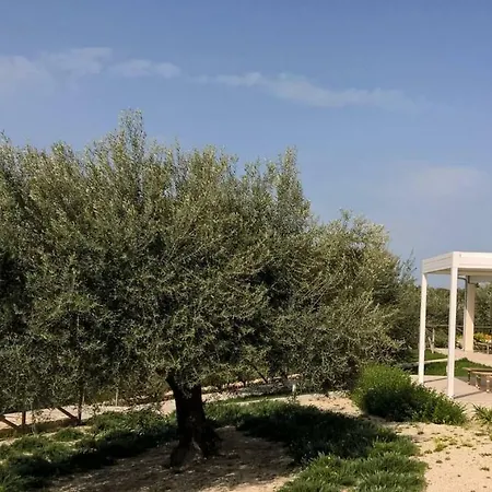 Gioielli - One Vila *